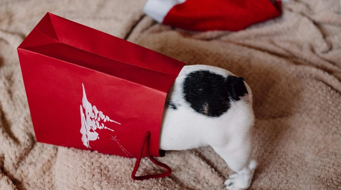 Uzdāvini sirdsmieru šajos Ziemassvētkos