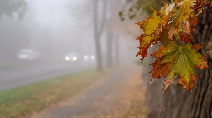 Kad var lietot miglas lukturus un kad tas ir aizliegts?