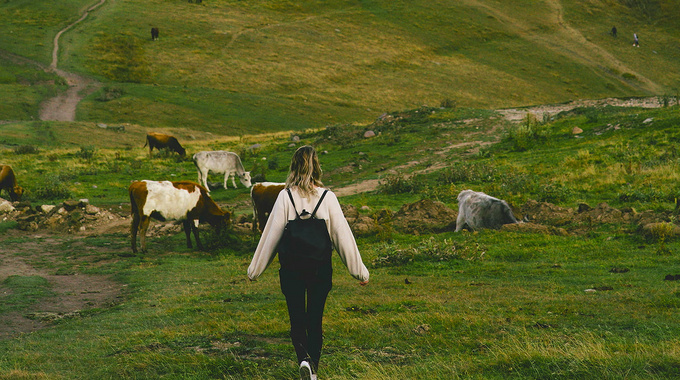 Obligātā ceļojumu apdrošināšana Gruzijā no 2026. gada – kas jāzina ceļotājiem